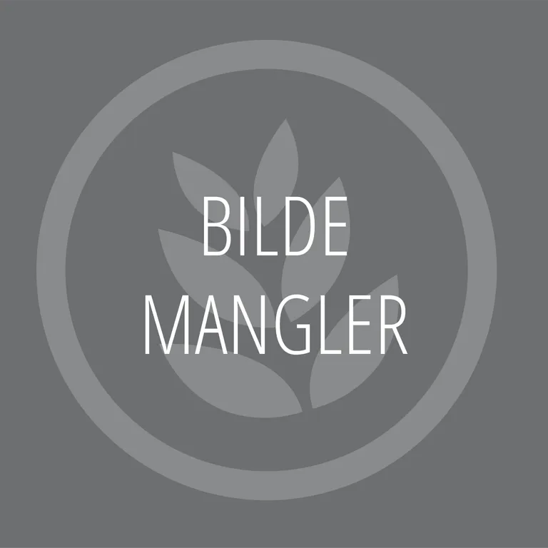 Høytemperatur 500C til Pizzamaster 300-500